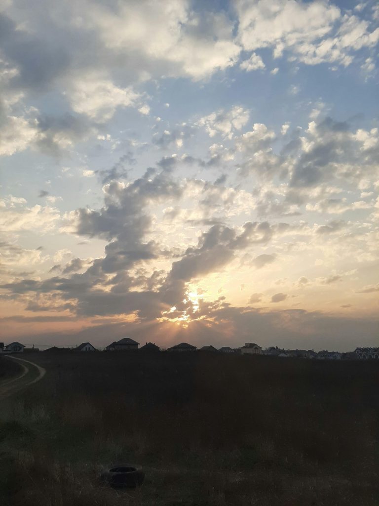 Warm wooden sauna interior representing heat therapy research and longevity science