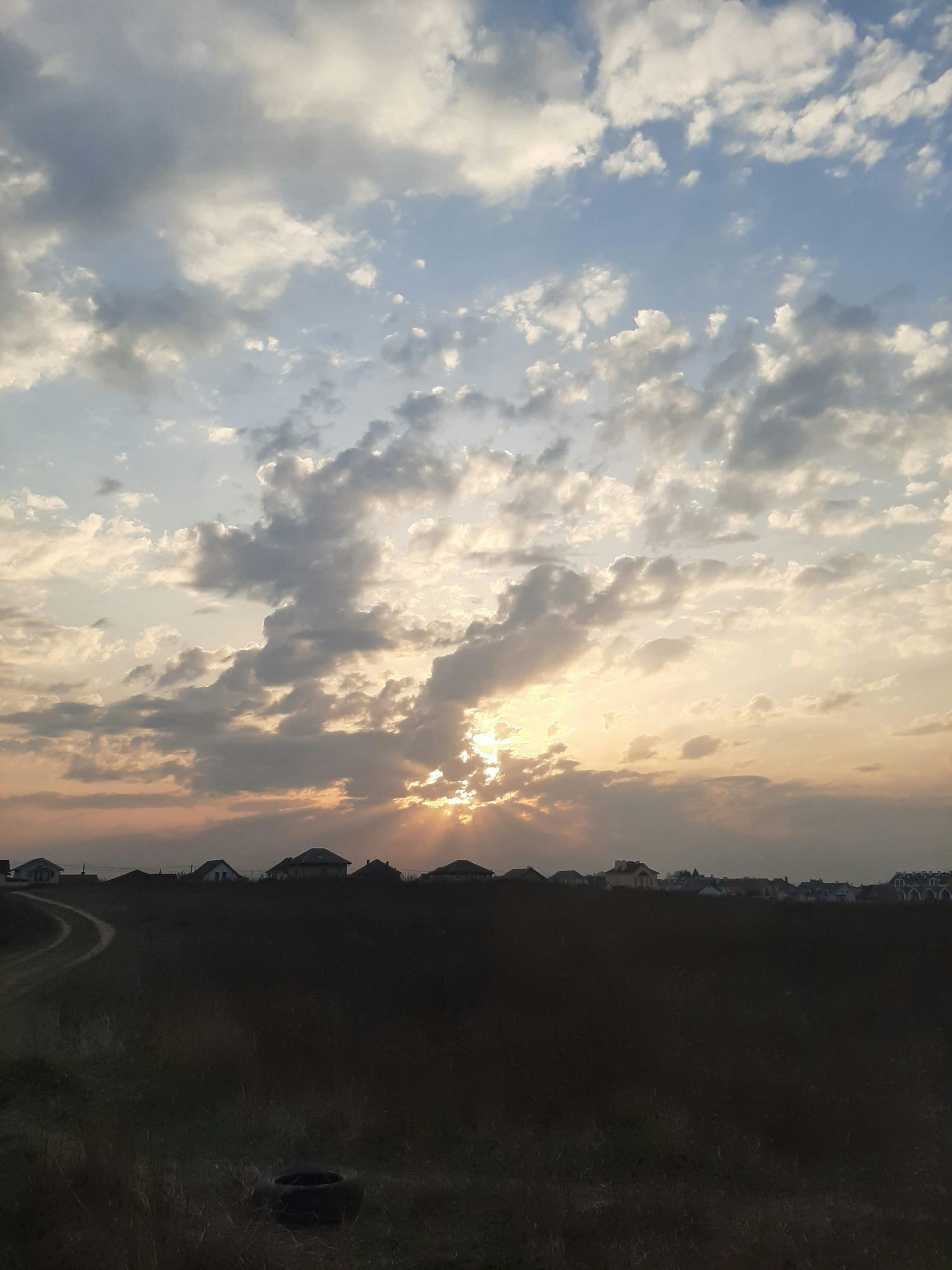 Warm wooden sauna interior representing heat therapy research and longevity science