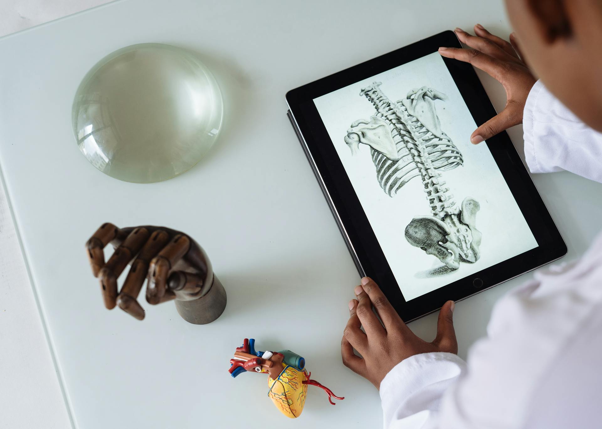 Somatic versus germline mutations comparison family inheritance | Healthcare Discovery